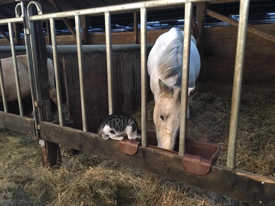 Foto aus der Fotogruppe 