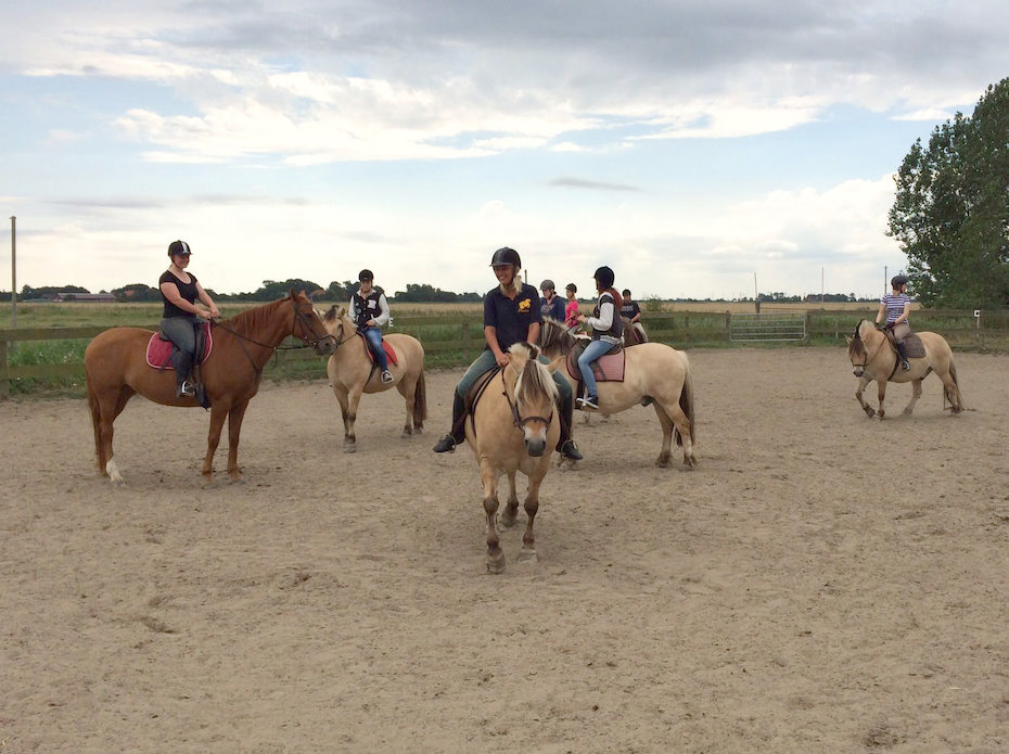 Foto aus der Fotogruppe 