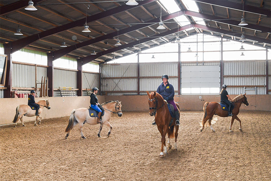 Foto aus der Fotogruppe 