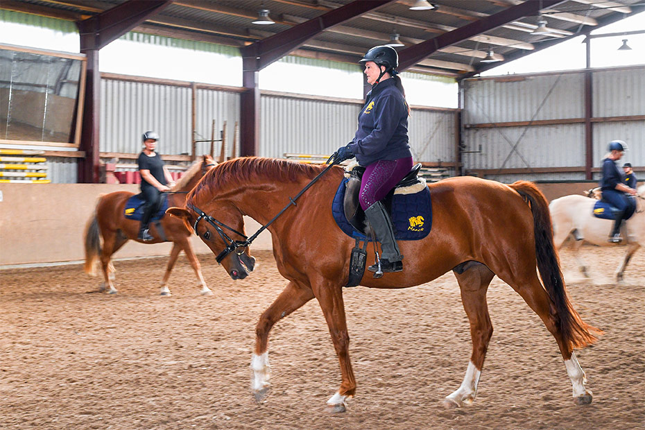 Foto aus der Fotogruppe 